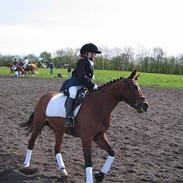 Anden særlig race Miss Magic