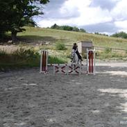 Anden særlig race Mille