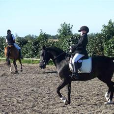 DSP welvet af Kongshøj solgt