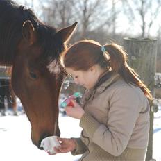 Anden særlig race Engedals E.T.