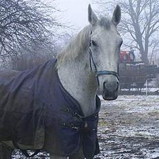 Oldenborg Klak (død)