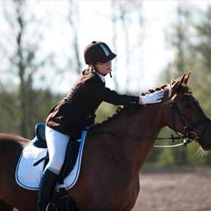 Anden særlig race Artesia