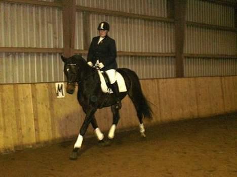 Dansk Varmblod Risdalens Amy - Dressur LD2 D 18/11-06 billede 10