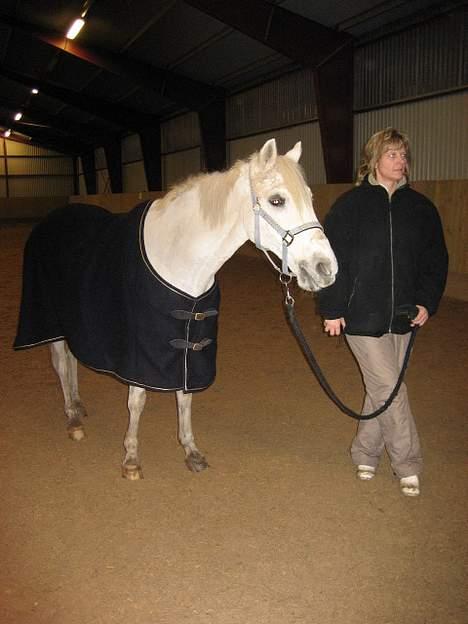 Irsk Sportspony Pan - Min Pony Oq Min Mor , Elsker Jer, Er Så Taknemliq At Min Mor Gider At Bruqe Så Manqe Penqe/Tid På Miq ! billede 14