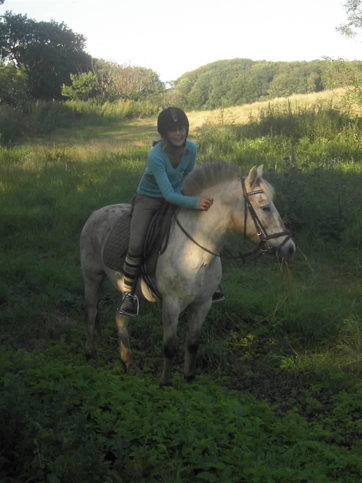 Anden særlig race Philippa SOLGT  - Den aller sidste gang jeg rider på Philippa-mussen, dagen efter blev hun solgt :( Puuh det var hårdt de dage :O billede 9