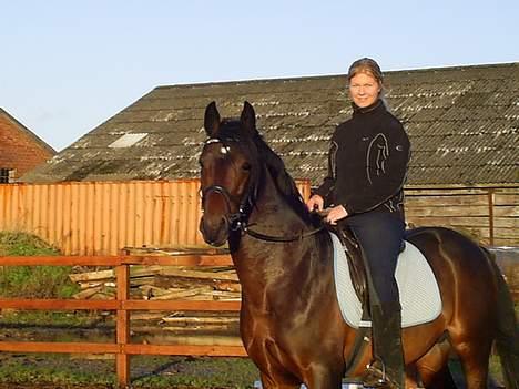 Oldenborg Aristokrat *solgt* billede 2