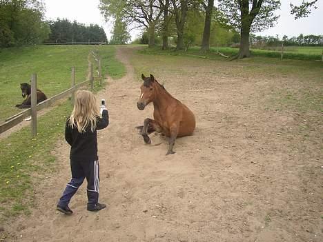 New Forest Egeballes Gori - *NYT* Lillesøster, Frederikke, med kamera. - Pletskud??? billede 15