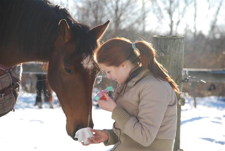 Anden særlig race Engedals E.T. - E.T. spiser risifrutti med jordbærsmag :D 7. marts 2010 foto: søde Stine Ravn <3 billede 2