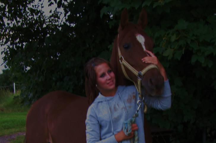 DSP Firhøjs Nobi - min engel - when i am feling sad and low, ii just think of you,and i turn back in my heart.. to you ! billede 7