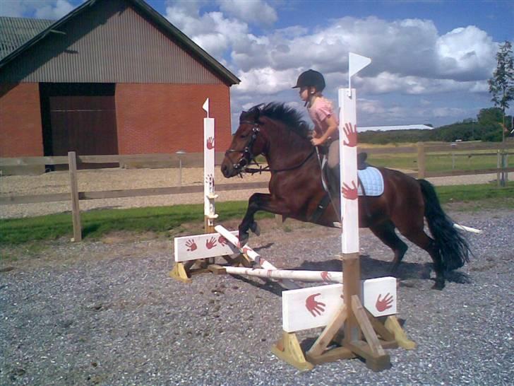 Anden særlig race Flicka  <3 den hurtige - Nuttede Flicka og Johanne xD billede 19