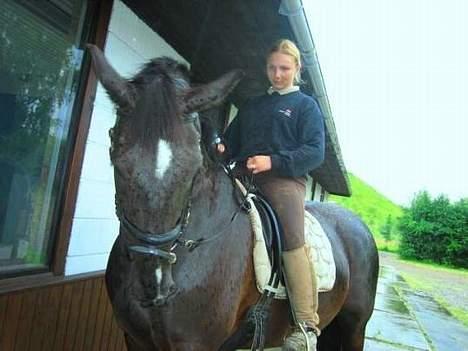 Oldenborg Loke Hjortelund billede 10