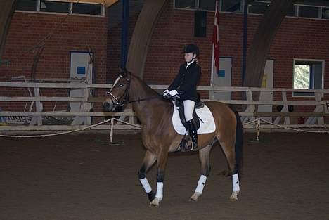 Anden særlig race Mirou *Solgt* - Her kan i se, mig og Mirou til stævne.Hvor vi var på banen. billede 3