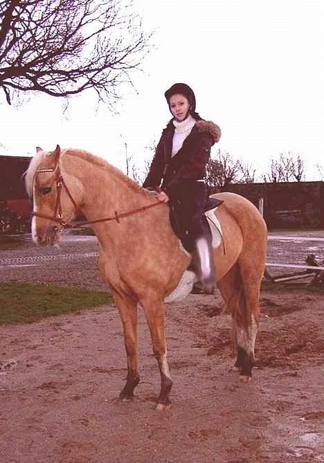 Palomino Chloé - Chloé og jeg d. 21-01-2007 billede 12