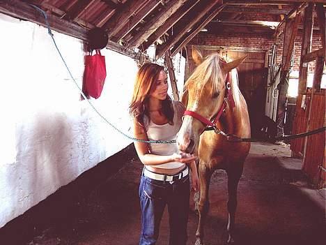 Palomino Chloé - Stutteri Lysgaard, juli 2006 billede 13