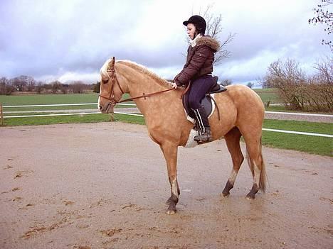 Palomino Chloé - Chloé og jeg d. 21-01-2007 billede 18