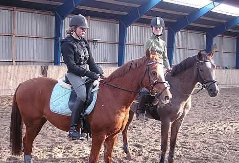 Sportsaraber (A) Cocio ¤død¤ - Savner diig smukke<3<3 Dejlige Eppo og Henri i baggrunden.. <3<3 billede 9