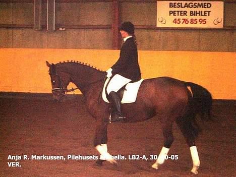 Dansk Varmblod Michella (Aflivet) - Anja og Mille dressurstævne(Anja var Milles ejer) billede 6