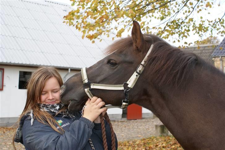 DSP Sønderlunds Parleur  - Yndlingsbilledet.. Ord kan ikke udtrykke, hvor meget jeg savner dig!  billede 2