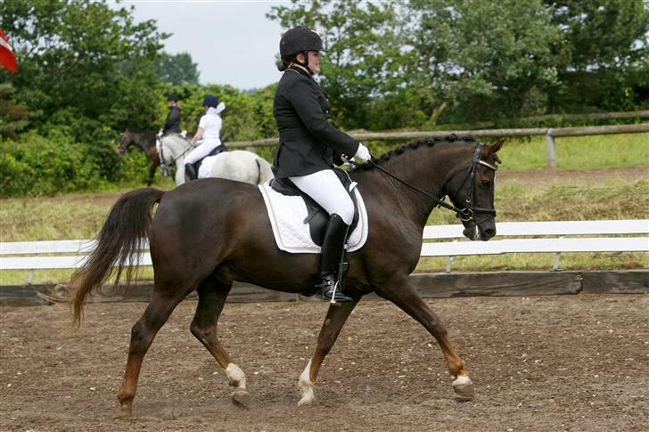 DSP Sønderlunds Parleur  - Sydjysk Mesterskab 2007 <3 tak :D Billedet er købt af photo2u. billede 3