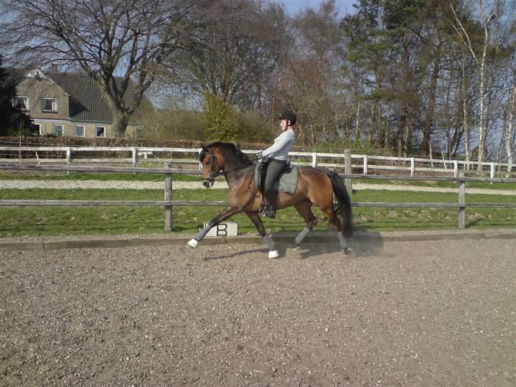 Anden særlig race Chamelli¤B-PONY¤ - Træning d. 16/4-09 :) Taget af : RCT<3 billede 9