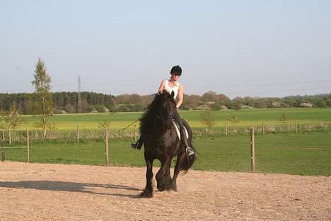 Frieser Charli - Mig & Charli billede 20