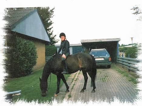 Anden særlig race Speedie (R.I.P. ) - På besøg derhjemme :b billede 3