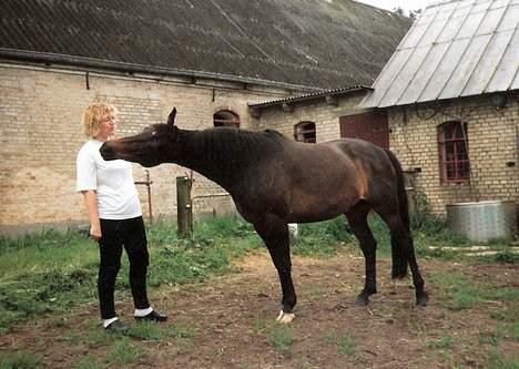 Anden særlig race Speedie (R.I.P. ) - Han elskede at blive nusset med <3 billede 6