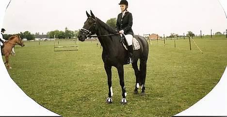 Dansk Varmblod Fyns Beslagsmedie Almondi - Her er vi til springstævne i Nordfyns Rideklub. 1999. billede 4