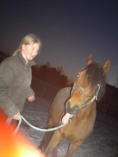 DSP Luna Nizzers - Iza´s ynglings billede <3 (LL) . Taget D. 23 Januar - 07 billede 17