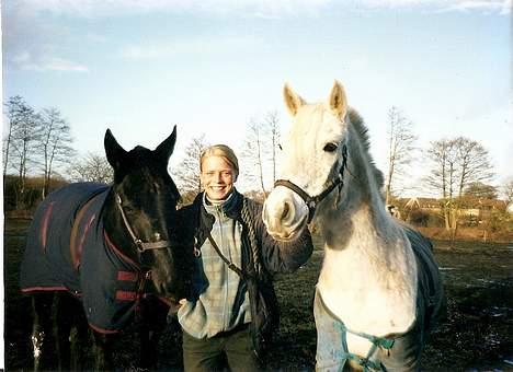 Dansk Varmblod Fyns Beslagsmedie Almondi - Almondi, Laban og jeg. December 2001. billede 14