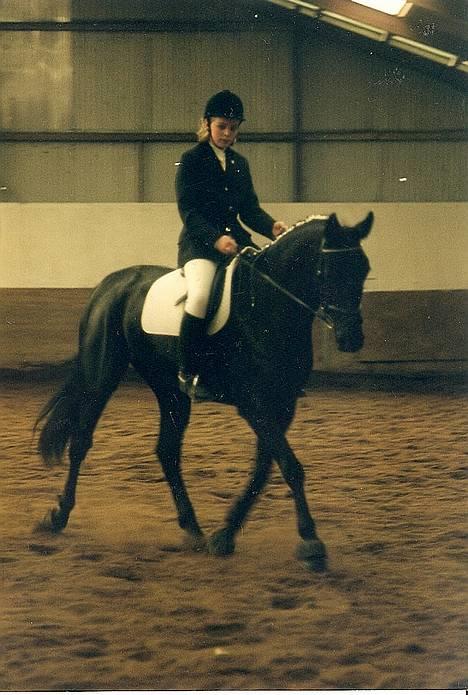 Dansk Varmblod Fyns Beslagsmedie Almondi - Almondi og jeg til stævne i Seden Rideklub. 1998. billede 19
