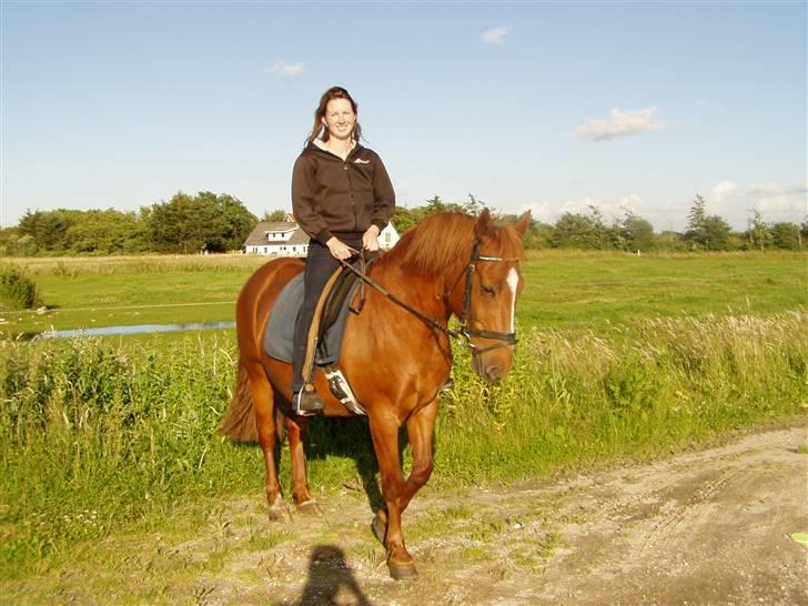 Anden særlig race Prins billede 7