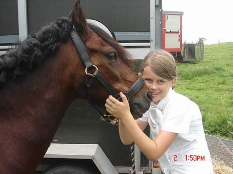 Welsh Pony af Cob-type (sec C) Hedehuses Skipper *R.I.P.* - Du er god nok selv om du har "duller" i håret billede 15