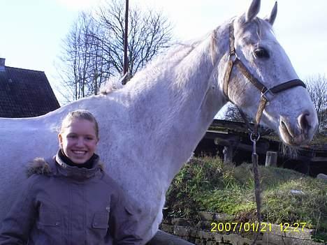 Holstener Fantast ** - sander med sin nye ejer d.21/1  billede 18