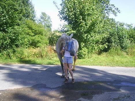 Oldenborg Klak (død) billede 2