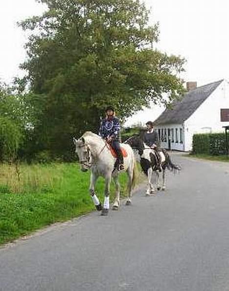 Oldenborg Klak (død) - Vi kommer hjem fra tur billede 5