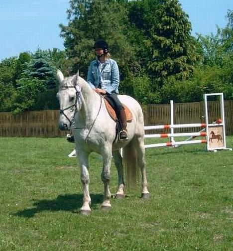 Oldenborg Klak (død) billede 8