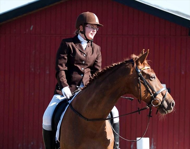 Anden særlig race Artesia - 9/5 2010 - Dressurstævne i Tylstrup, efter et vellykket comeback, os to for evigt - Fotograf: Per (Christinas far) billede 9