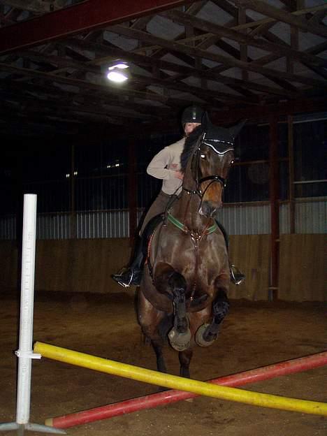 Holstener Hannah(Diva) Mit ALT<3 - hop! vi springer lige lidt billede 5