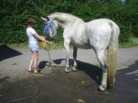 Oldenborg Klak (død) billede 9