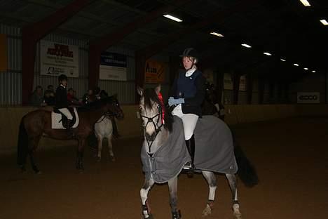 Anden særlig race silas<3<3 ***Solgt*** - Fra Klubmesterskab RHO, dec.2006 billede 13