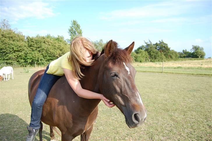 Anden særlig race Miss Trixie Bell - 14# Sidste dag med Trixie <3 Det var sådanne stunder, jeg vidste jeg elskede hende <3 Fotograf: min mor - Kamera: NikonD40 billede 14