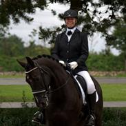 Dansk Varmblod De Luxe R