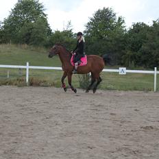 Anden særlig race tasja.