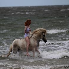 Islænder Líba frá Strandarbakka