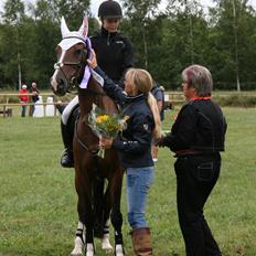 Hollandsk Sportspony Philippa - Sydjysk mester military 2014