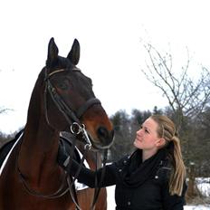 Oldenborg | Strategi Alstrup | B-hest