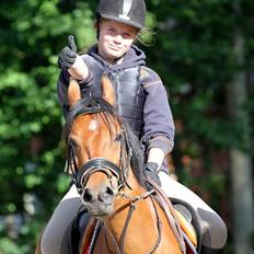 Hollandsk Sportspony Rose (Lille Lady)