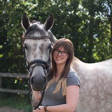 Sportsaraber (A) LOBERGS ARABIAN DACAPO