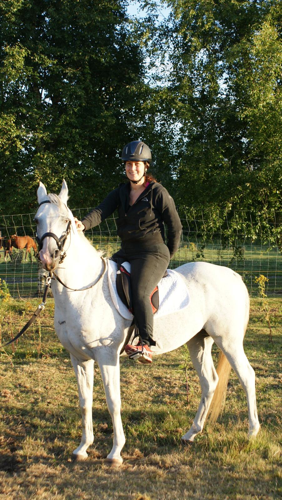 Arabisk fuldblod (OX) Silviars Benjamin CA fri - Jeg kom også selv op på drengen, det er utroligt, det er første gang I 4 år jeg er oppe på ham og jeg er ved at skide en sprællemand, men Benjamin tager det så pænt. billede 8